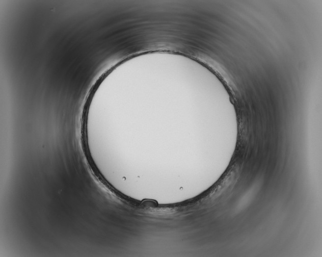 X0000086901135200705141637