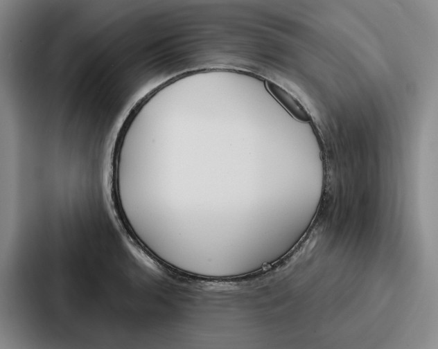 X0000086901136200705141637