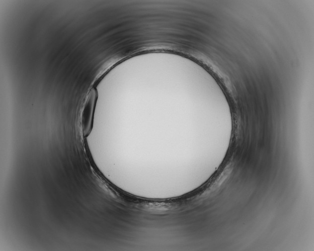 X0000086901137200705141637