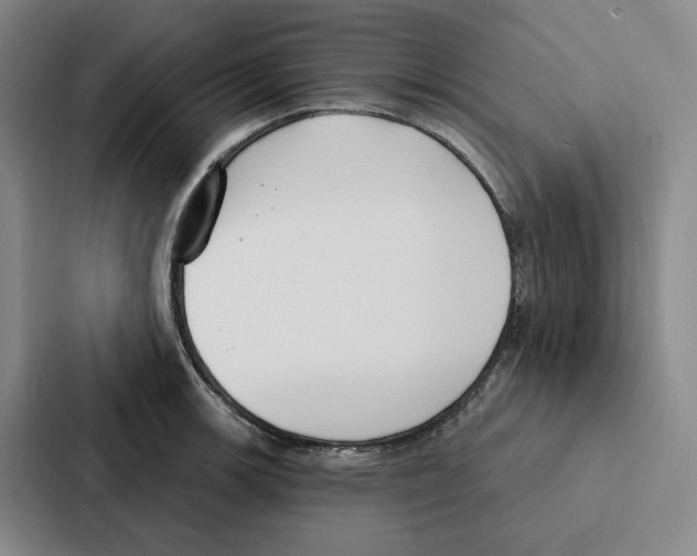 X0000086901139200705141637