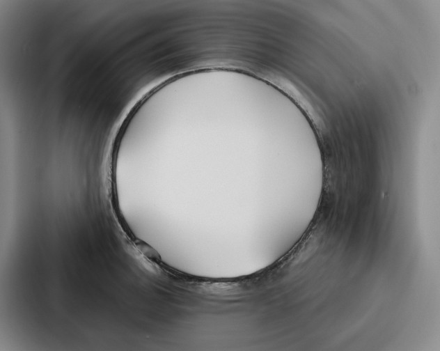 X0000086901140200705141637