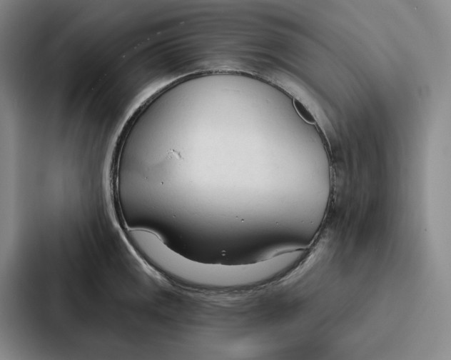 X0000086901141200705141637