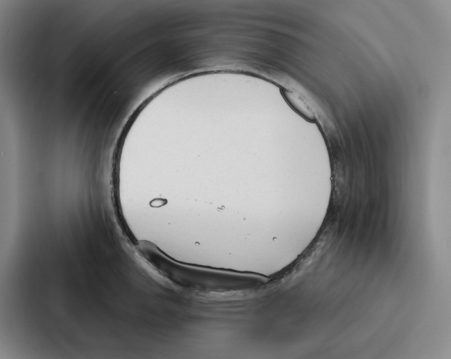 X0000086901142200705141637