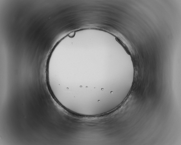 X0000086901143200705141637