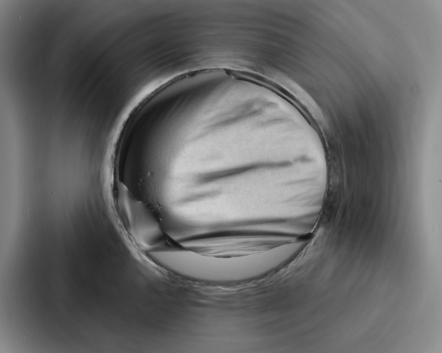 X0000086901144200705141637