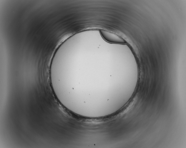 X0000086901145200705141637