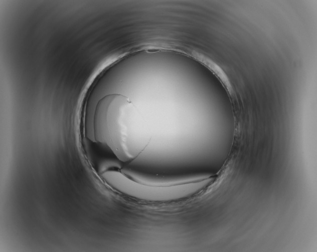 X0000086901146200705141637