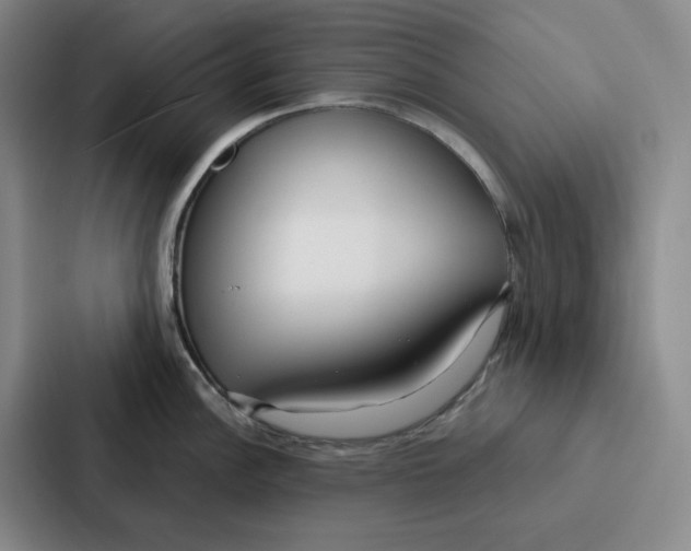 X0000086901148200705141637