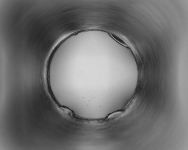 X0000086901149200705141637