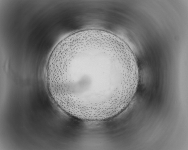 X0000086901150200705141637