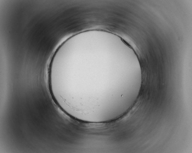 X0000086901151200705141637