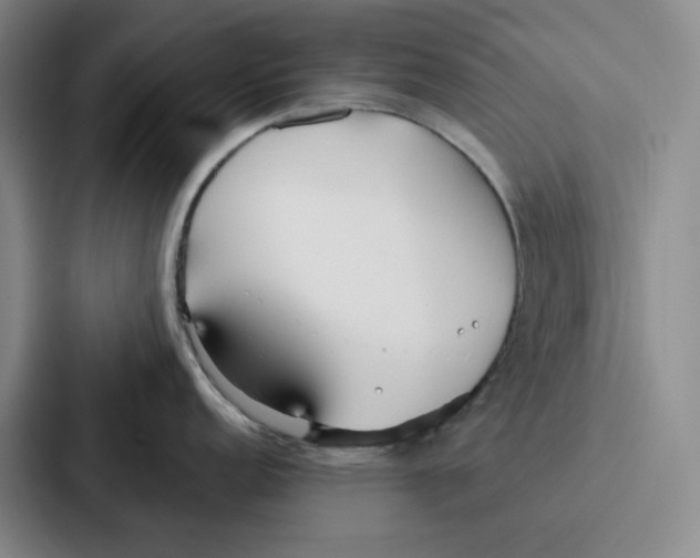 X0000086901152200705141637