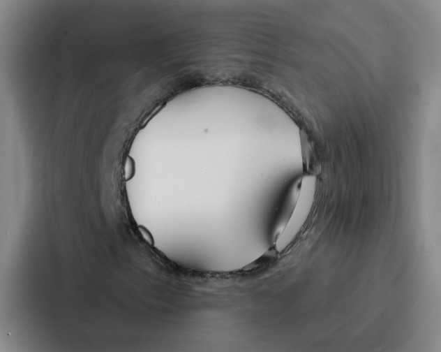 X0000086901153200705141637