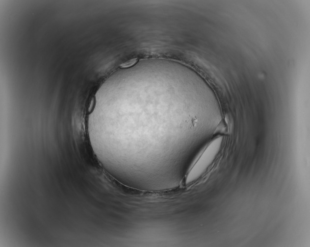 X0000086901155200705141637