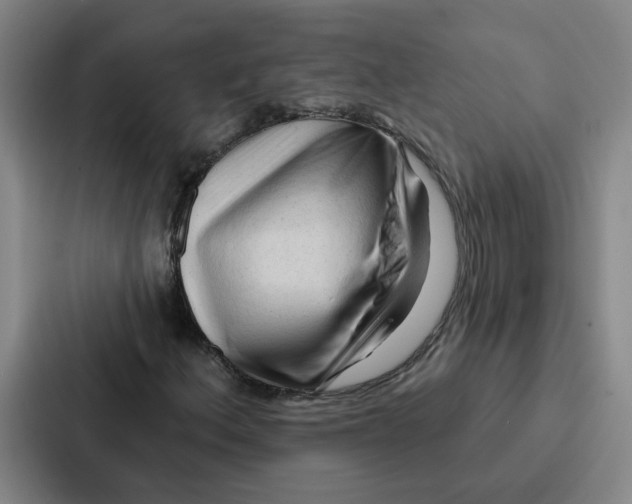 X0000086901156200705141637