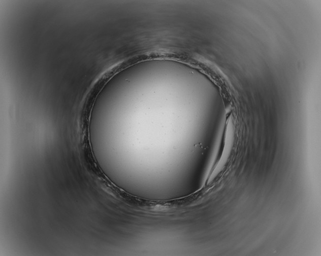 X0000086901160200705141637