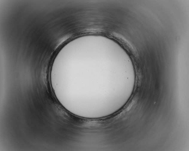 X0000086901162200705141637