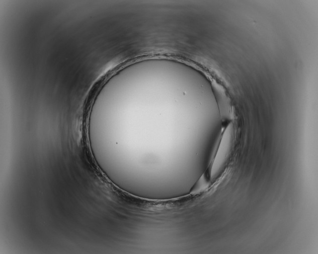 X0000086901165200705141637