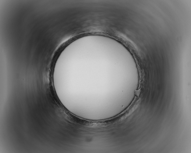 X0000086901166200705141637