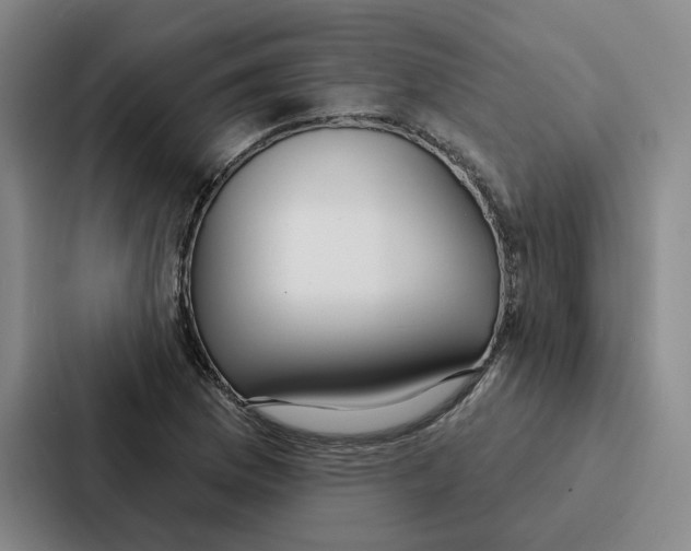 X0000086901169200705141637