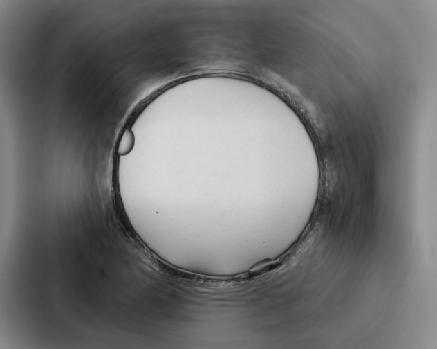 X0000086901174200705141636