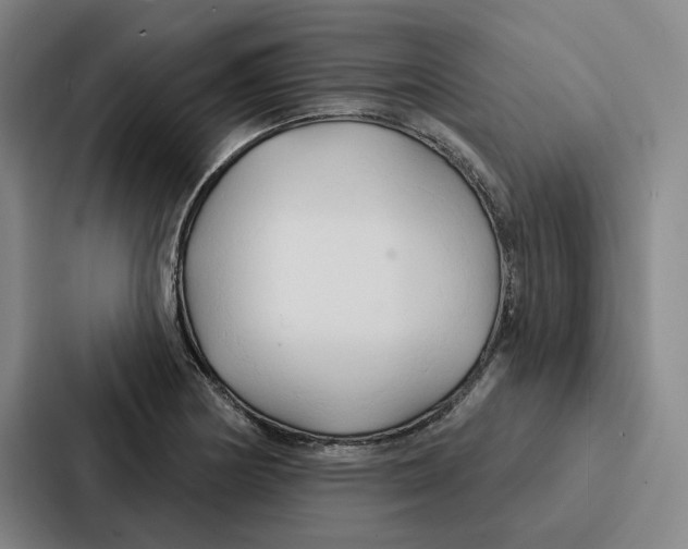 X0000086901178200705141636