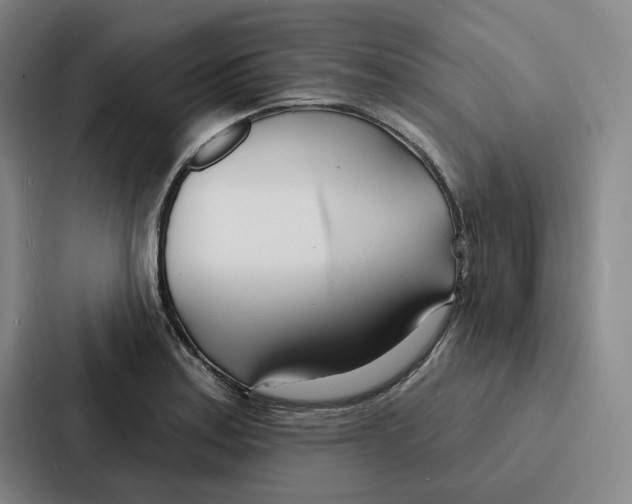 X0000086901179200705141636