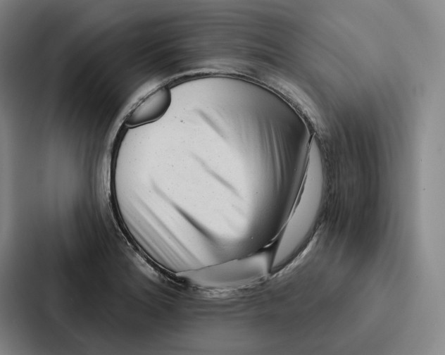 X0000086901180200705141636