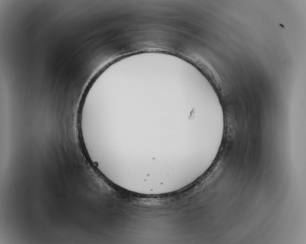 X0000086901182200705141636