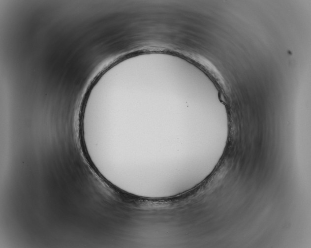 X0000086901183200705141636