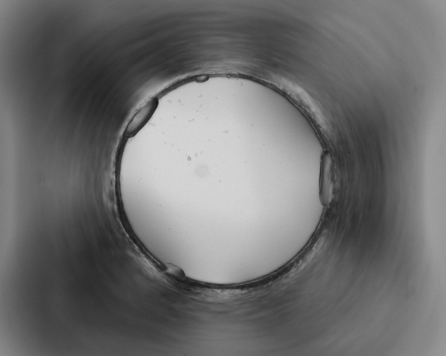 X0000086901184200705141636