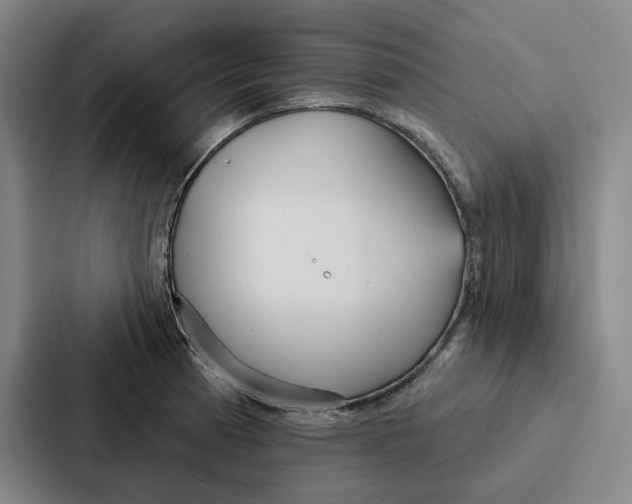 X0000086901185200705141636