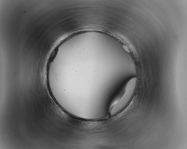 X0000086901188200705141636