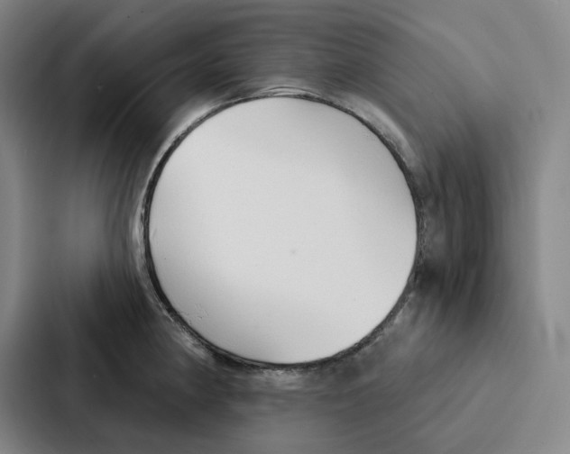 X0000086901190200705141636