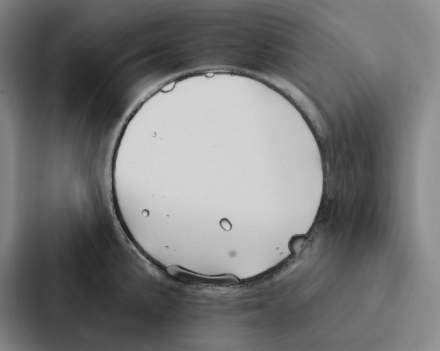 X0000086901191200705141636