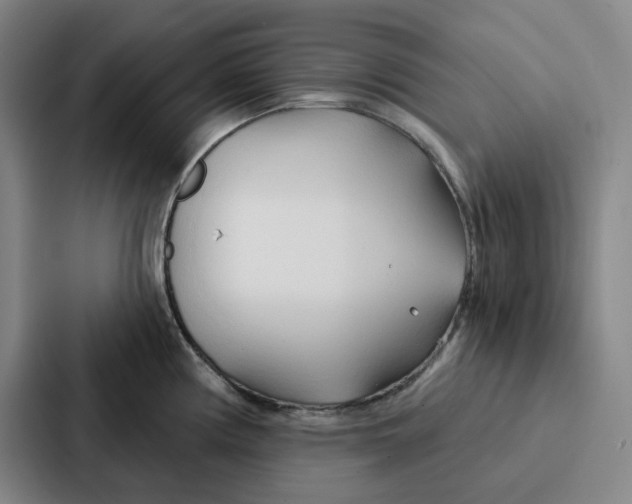 X0000086901194200705141636