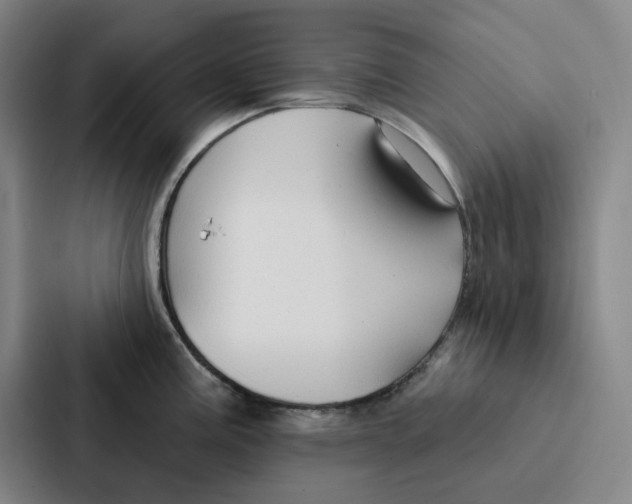 X0000086901195200705141636