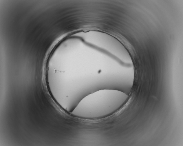 X0000086901196200705141636