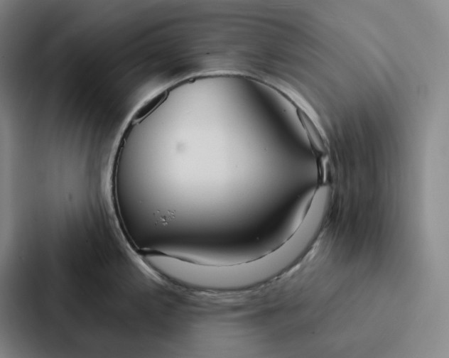 X0000086901197200705141636