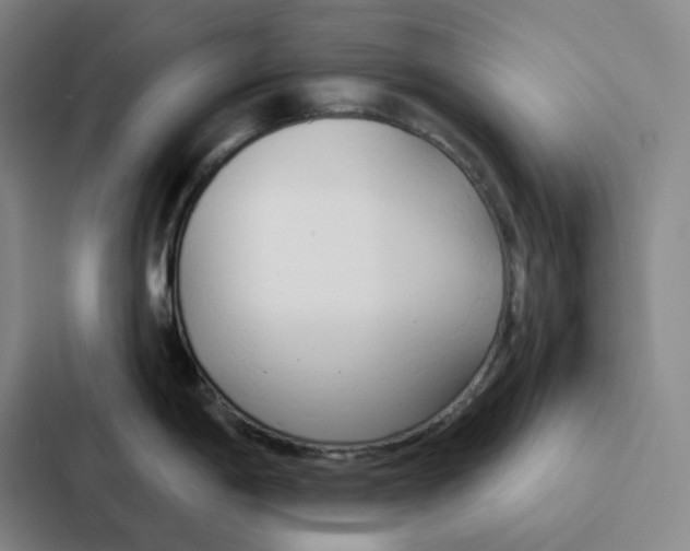 X0000086901198200705141636