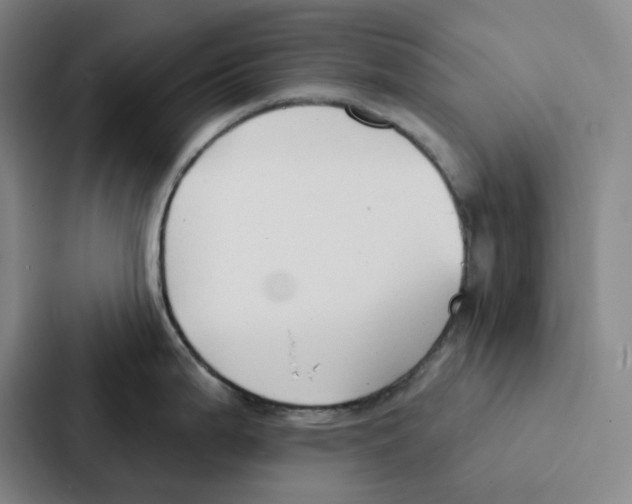 X0000086901199200705141636