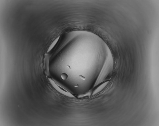 X0000086901202200705141636