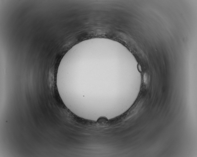 X0000086901203200705141636