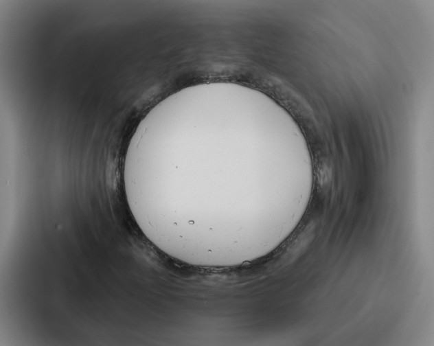 X0000086901204200705141636