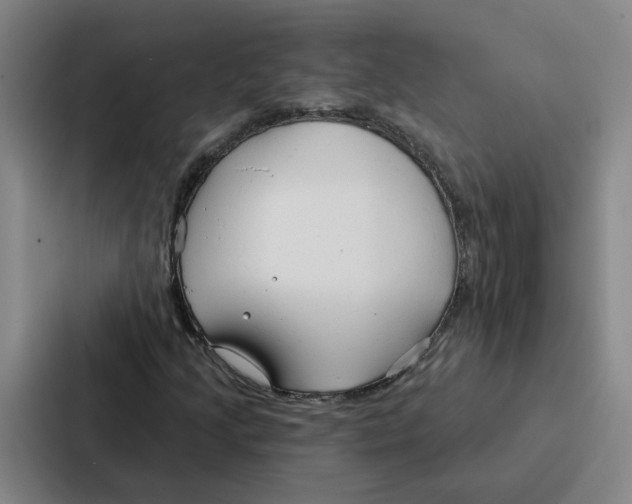 X0000086901205200705141636