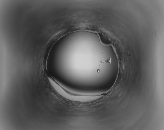 X0000086901206200705141636