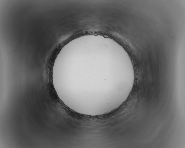 X0000086901207200705141636