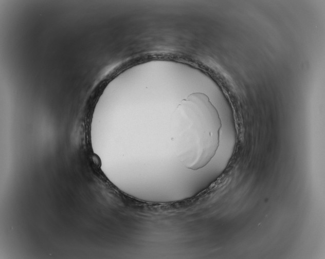 X0000086901208200705141636