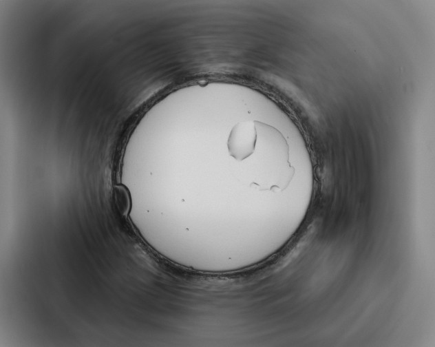 X0000086901209200705141636