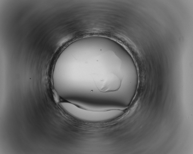 X0000086901210200705141636